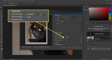 Understanding Print in Photoshop
