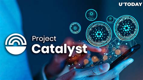 understanding project catalyst's