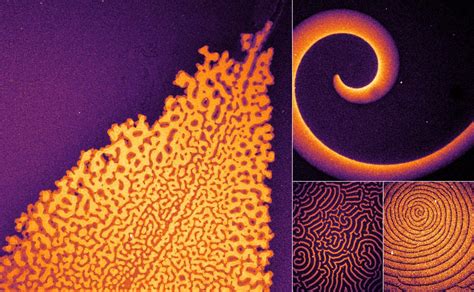 Understanding ProteinBased Pattern Formation in Cells