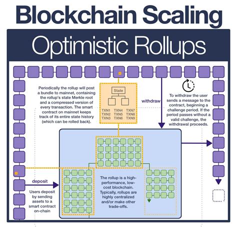 Understanding Rollups and the Optimism Ecosystem