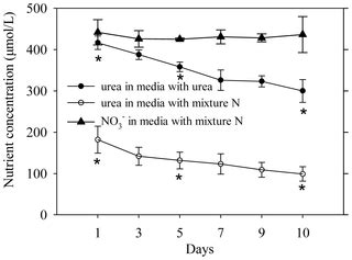 Understanding Strategy of Nitrate and Urea Assimilation in a