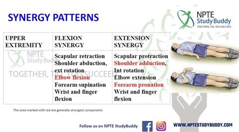 Understanding Synergy Patterns in Medical School and Physical Therapy