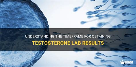 Understanding The Timeframe For Obtaining Testosterone Lab Results