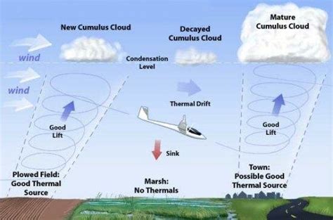 Understanding Thermal Lift in Soaring Flight