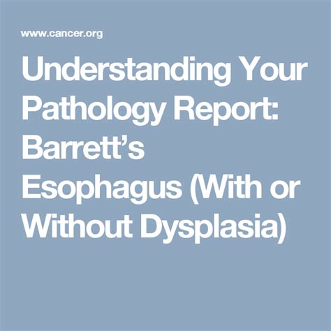 Understanding Your Pathology Report: Barrett’s Esophagus (With …