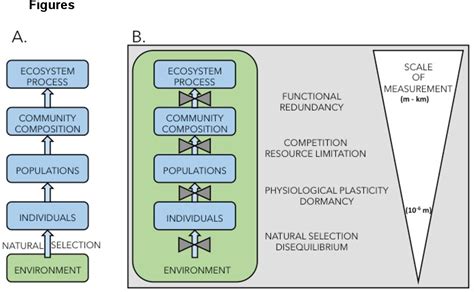 Understanding how microbiomes influence the systems they …