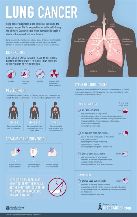 Understanding lung cancer signs symptoms treatment prevention a quick guide to lung cancer. - Manuale dietista di nutrizione enterale e parenterale manuale dietista di nutrizione enterale e parenterale.