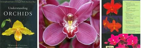 Understanding orchids an uncomplicated guide to growing the worldam. - Column flotation processes designs and practices.