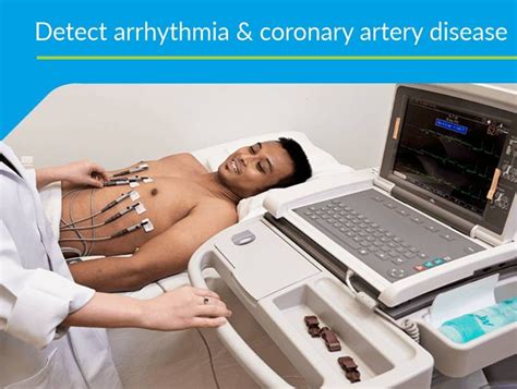 Understanding the 2D Echo Test, a NonInvasive Imaging Technique for