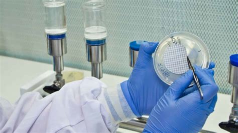 Understanding the Basics of Microbiology Testing American Testing Lab
