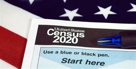 Understanding the Census My Black Counts