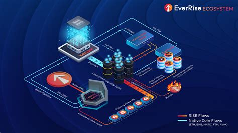 methodology for ecosystem