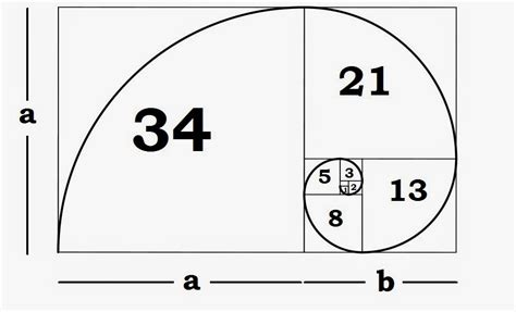 Understanding the Fibonacci Sequence and the Golden Ratio