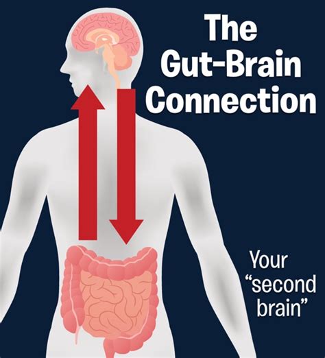 Understanding the Gut-Brain Connection with Dr. Natanya Wachtel – How Feeling Your Best Is within Reach (Of Your Refrigerator)