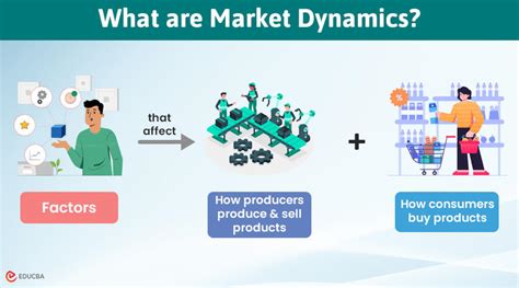 Understanding the Recent Market Dynamics