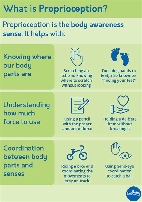 Understanding the Senses: Proprioception Pathways.org