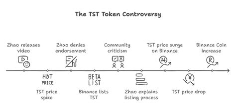 Understanding the TST Token Controversy