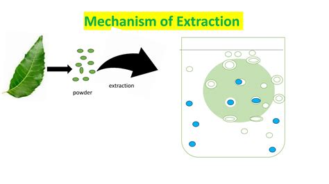 Understanding the extraction mechanism,