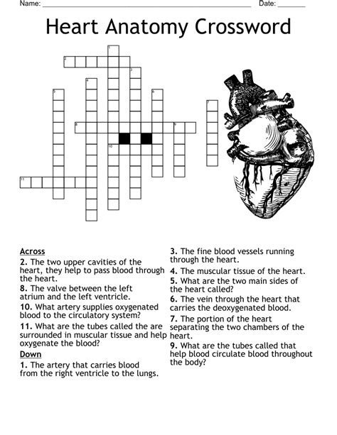 understanding with the heart Crossword Clue. The Crossword Solver found 30 answers to "understanding with the heart", 8 letters crossword clue. The Crossword Solver finds answers to classic crosswords and cryptic crossword puzzles. Enter the length or …. 