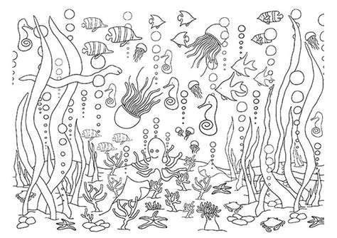 Underwater Scene Coloring Pages
