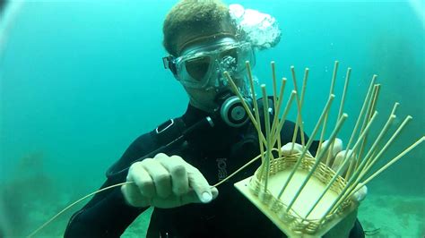 Underwater basket weaving. Things To Know About Underwater basket weaving. 