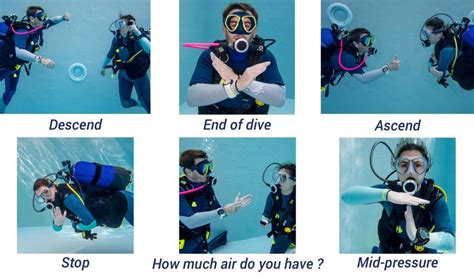 Underwater communication a guide for scuba and commercial divers. - Sieben grundbegriffe der antiken staatsphilosophie und ihre bedeutung für die gegenwart.