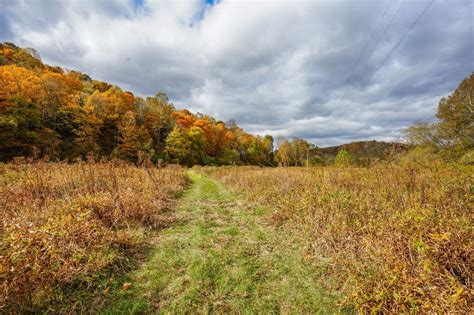 Find undeveloped land for sale in Lorain County, OH including small empty lots, vacant land for construction, large unimproved acreage, and other raw land plots. The 91 matching properties for sale in Lorain County have an average listing price of $258,521 and price per acre of $28,835. . 