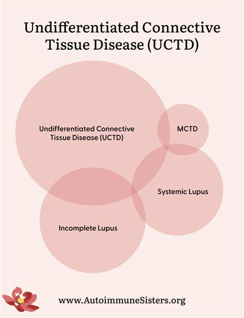 Undifferentiated Connective Tissue Disease UCTD 