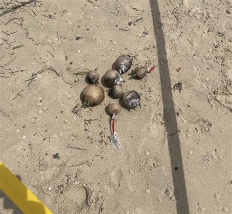 Unexploded fireworks wash up on Chappaquiddick Island, Massachusetts officials blame Central Maine Pyrotechnics