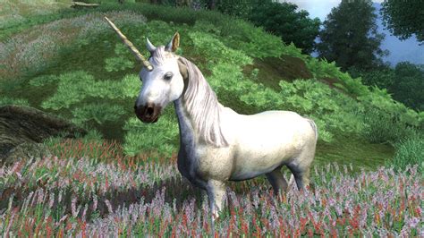 Unicorn (Oblivion) Elder Scrolls Fandom