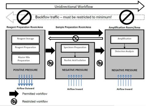 Unidirectional workflow in molecular lab.  It covers laboratory design, practices,...