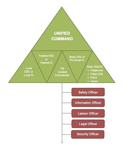 Unified command (ICS) - Wikipedia