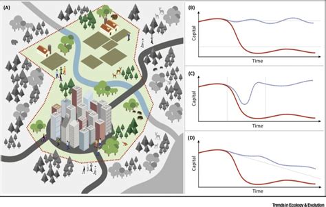 Unifying Research on Social–Ecological Resilience and Collapse