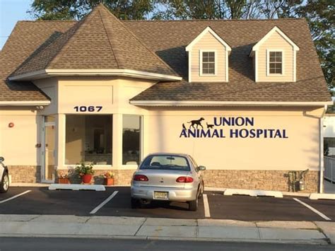 Union animal hospital. Things To Know About Union animal hospital. 