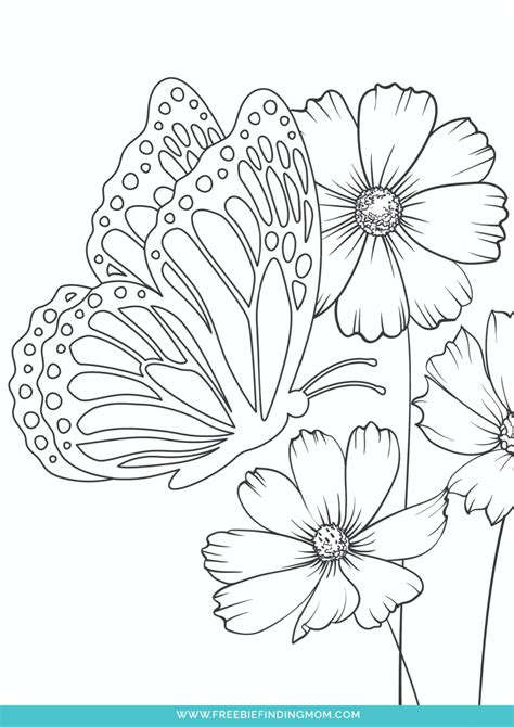 Coloring Pages Scenery
