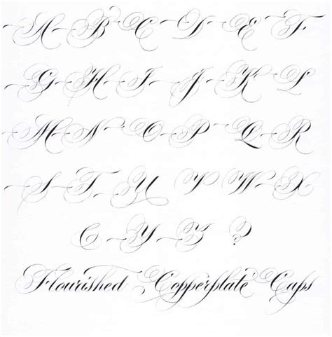 Unique Fancy Cursive Script Paijo Network