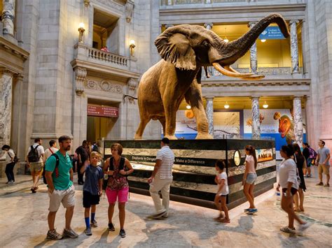 Unique things to do in dc. A trip to the capital city seems to come with a full list of mandated stops: the museums, the memorials, the White House and Senatorial tours. But why not … 