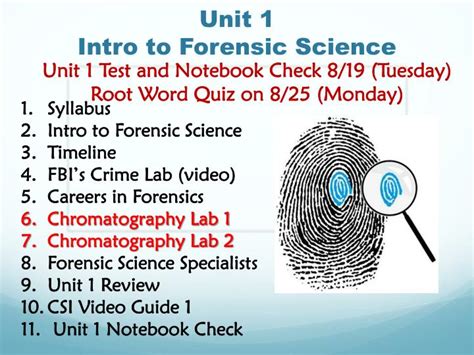 Unit 1 Introduction to Forensic Science & The Crime Scene Bingo Card