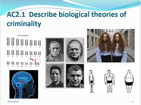 Unit 2: AC2.1- Biological theories of criminality - Quizlet