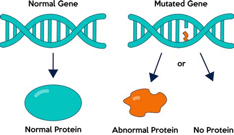 Unit 2.2 Protein synthesis Discover Math and Science Now