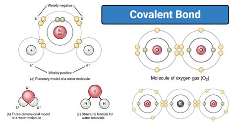Unit 6 study guide covalent bonding. - El poder de los angeles by.