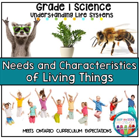 Unit overview Year 1 science The external features of living things