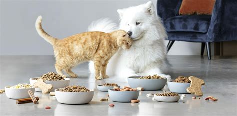 United Petfood - World wide producer of quality cat and dog food