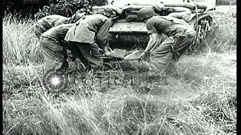 United States military tank M5A1 driven into heavy hedgerow …