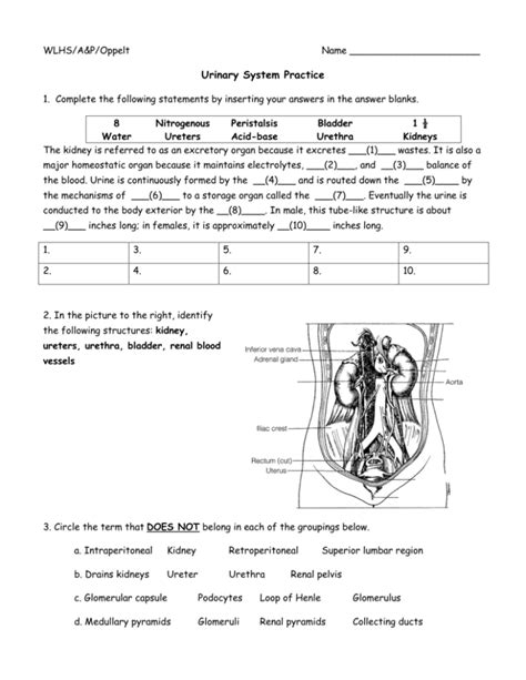 Unitek college test answers.  Urinary system Learn with flashcards, games, and ...