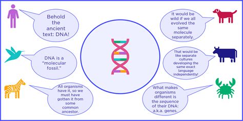 Universal Code Chart. All living things have specific