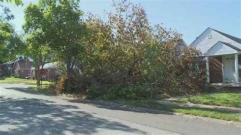 University City residents frustrated over stalled storm debris cleanup as new storms roll in