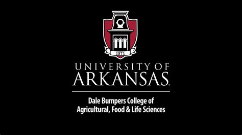 University of Arkansas - Dale Bumpers College of …