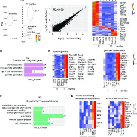 University of Dundee ChIP-Sequencing of TET …