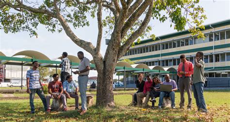 University of Guyana Library